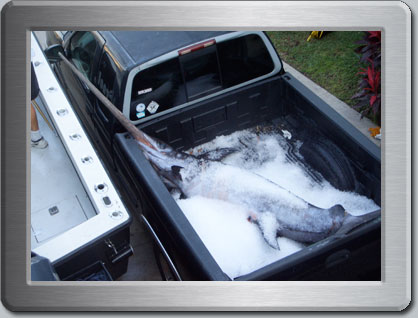 Image for Frick and Frack Fishing Charters with ID of: 1266521