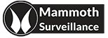Image for Mammoth Surveillance Camera Systems with ID of: 1267622