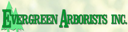 Image for Evergreen Arborists Inc. with ID of: 1267693