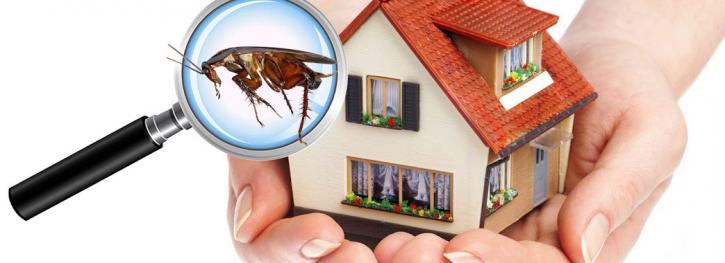 Image for O'Connor Pest Control Santa Barbara with ID of: 1268176