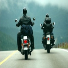 Image for Trans Global Motors LLC with ID of: 1268251