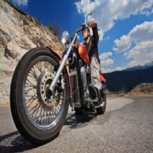 Image for Trans Global Motors LLC with ID of: 1268252