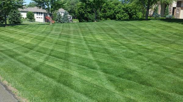 Image for The Grounds Crew LLC with ID of: 1268443