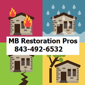 Image for Restoration Pros with ID of: 1268720