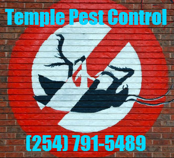 Image for Temple Pest Control with ID of: 1268841