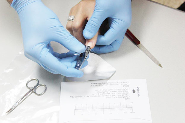 Image for Fastest Labs South Denver with ID of: 1270067