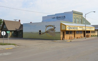 Image for Ringnecks Hunting Lodge with ID of: 1270420