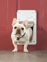 Image for Automatic dog door with ID of: 1272227