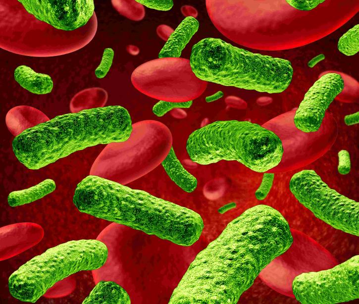 Image for Bacterial Disease Diagnostics Market, Global Industry Analysis, Size, Share, Growth, Trends and Forecast 2015 - 2021 with ID of: 1272264