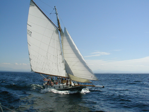 Image for Sail Liberty with ID of: 1272540