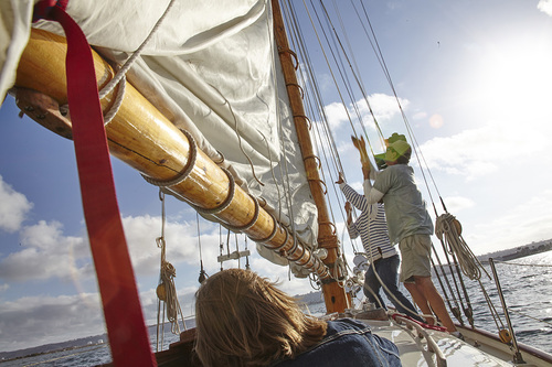 Image for Sail Liberty with ID of: 1272541