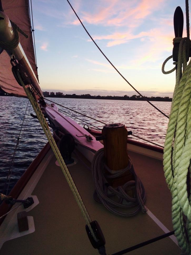 Image for Sail Liberty with ID of: 1272544