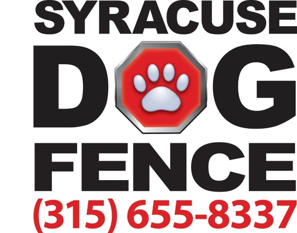 Image for Syracuse Dog Fence with ID of: 1272900