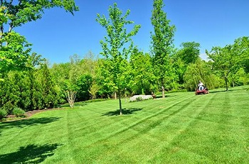Image for Pushmowers Lawn Care with ID of: 1274004