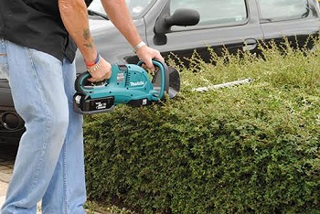 Image for Pushmowers Lawn Care with ID of: 1274005