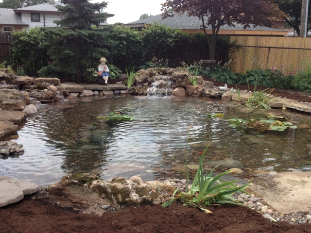 Image for GEM Ponds with ID of: 1274141
