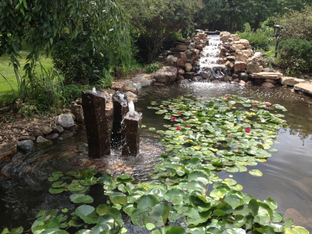 Image for GEM Ponds with ID of: 1274143