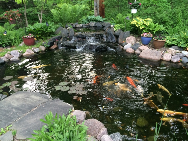 Image for GEM Ponds with ID of: 1274146