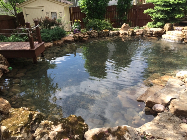 Image for GEM Ponds with ID of: 1274148