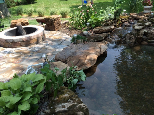 Image for GEM Ponds with ID of: 1274149