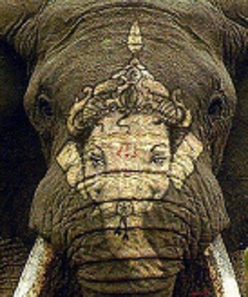 Image for Padmananda Reiki with ID of: 1275786