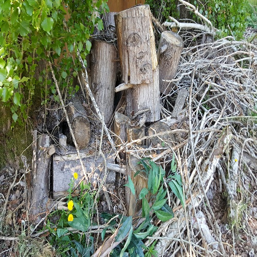 Image for AMPM Exterminators with ID of: 1278279