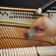 Image for Amadeus Piano Company with ID of: 1279037