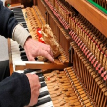 Image for Amadeus Piano Company with ID of: 1279041
