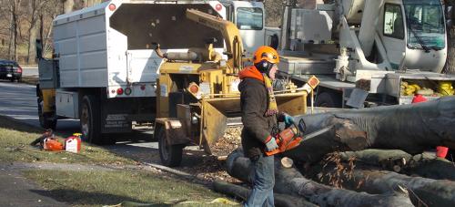 Image for ArborCarePa LLC with ID of: 1279118