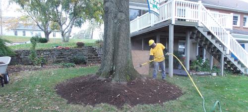 Image for ArborCarePa LLC with ID of: 1279119