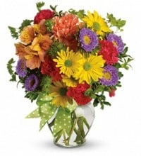 Image for Flower Delivery 4 All with ID of: 1280820