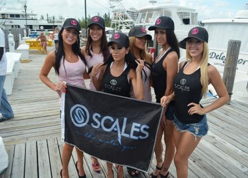 Image for Scales Gear with ID of: 1281206