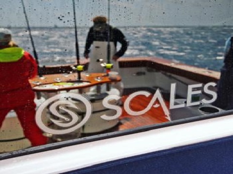 Image for Scales Gear with ID of: 1281209