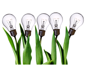 Image for Sindhi Digital Marketing Agency with ID of: 1281857