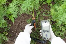Image for Global Soil Treatment Market Dynamics, Forecast 2020 by Syndicate Market Research with ID of: 1283058