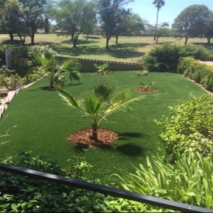 Image for OLIVOS LANDSCAPING AND TREE SERVICE with ID of: 1283924