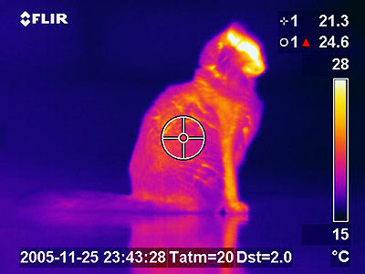 Image for Border Security Threats to Drive Global Thermal Imaging Market with ID of: 1285167