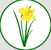 Image for Landscape Creations Ltd with ID of: 1285485