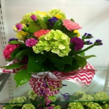 Image for Bloom Flowers and Design with ID of: 1286295