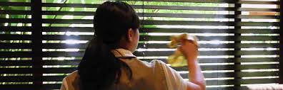 Image for Hunter douglas blinds repair with ID of: 1286502