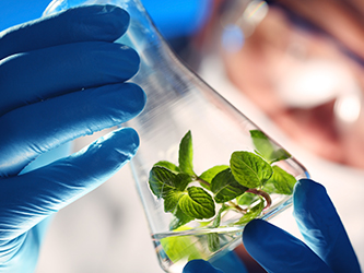 Image for Global Iodine Market will Reach US$ 1,679.4 Mn by 2024 : PMR with ID of: 1288614