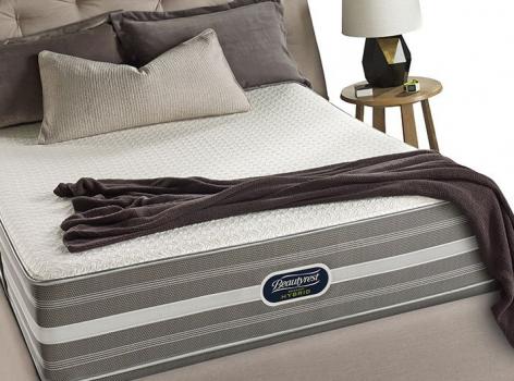 Image for The Sleep Shop with ID of: 1288631