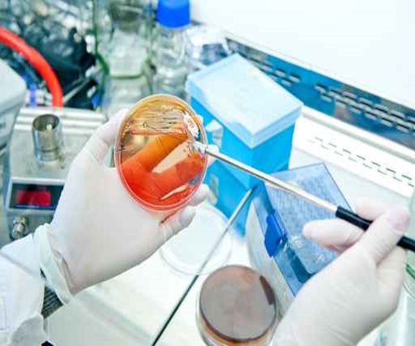 Image for HPV Testing And Pap Test Market Size, Trends, Growth and Forecasts with ID of: 1290551