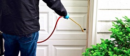 Image for Bez Valley Pest Control with ID of: 1292359