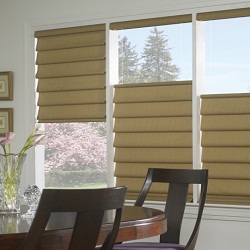 Image for Budget Blinds of Bothell with ID of: 1292375