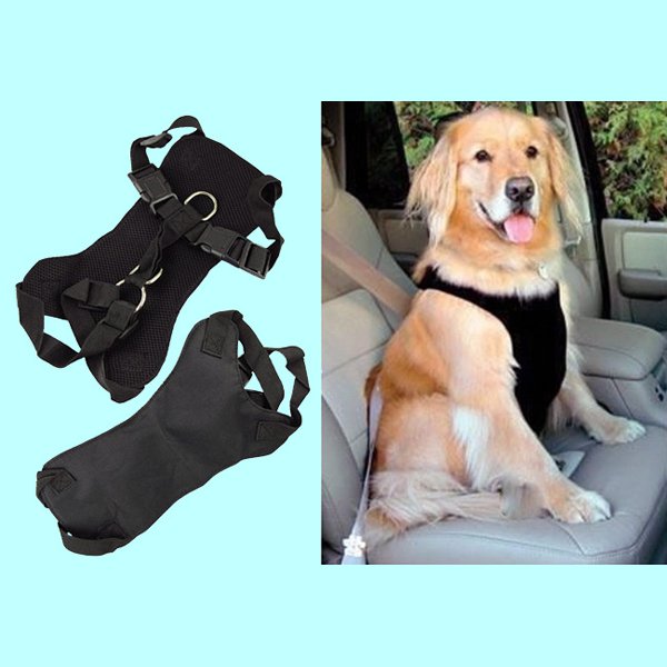 Image for 15% off via coupon sites with ID of: 1292411