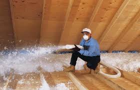 Image for Blown in insulation services with ID of: 1293131