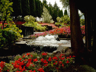 Image for Folsom Landscaping Pro's with ID of: 1295306