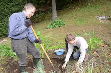 Image for Folsom Landscaping Pro's with ID of: 1295308