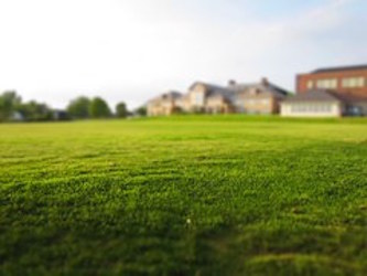 Image for Folsom Landscaping Pro's with ID of: 1295320